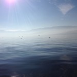 Zürichseerundfahrt Seestimmung